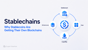 Stablechains, Stablecoin Blockchains, Stablecoin L1, Arc Network, Plasma Blockchain, Tempo Blockchain