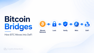 Bitcoin Bridges, BTC Bridges, Bitcoin DeFi, Wrapped Bitcoin