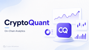 cryptoquant review 2026