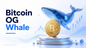 Dormant Bitcoin OG Wallet Moves 500 BTC After 12 Years