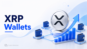 XRP Wallets Holding 10,000 Tokens Hit Record High As Larger Holders Accumulate