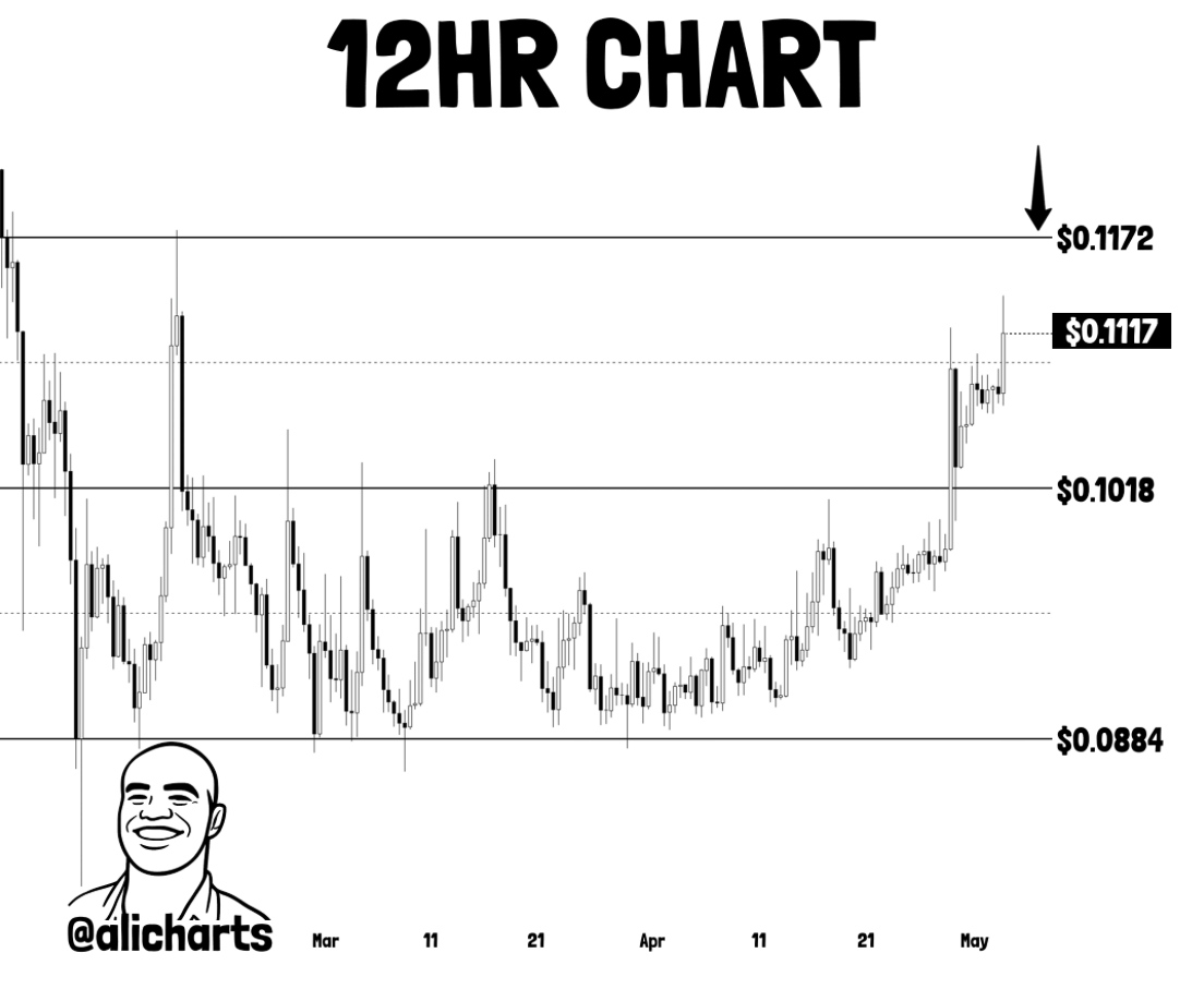 Doge 12H Price Chart via @alicharts on X
