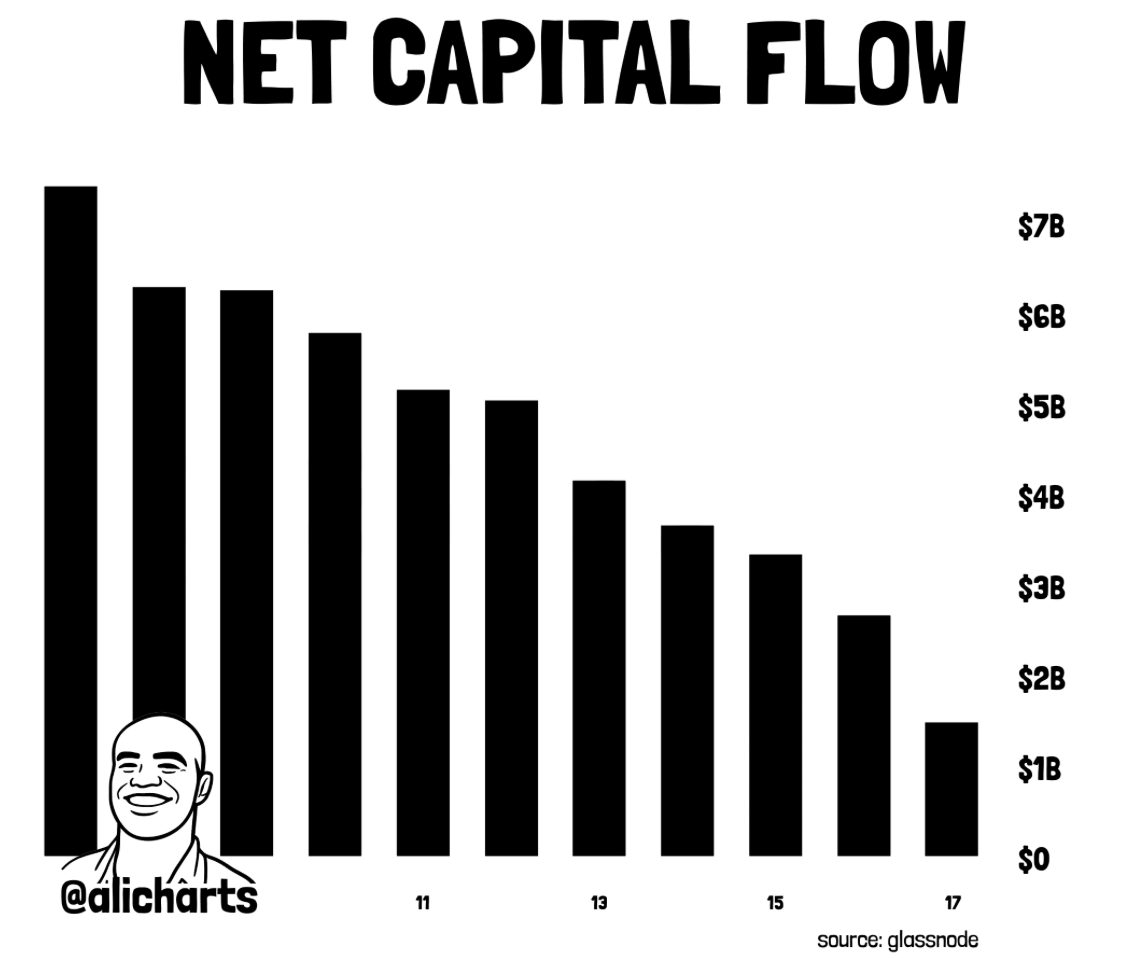 net capital inflow