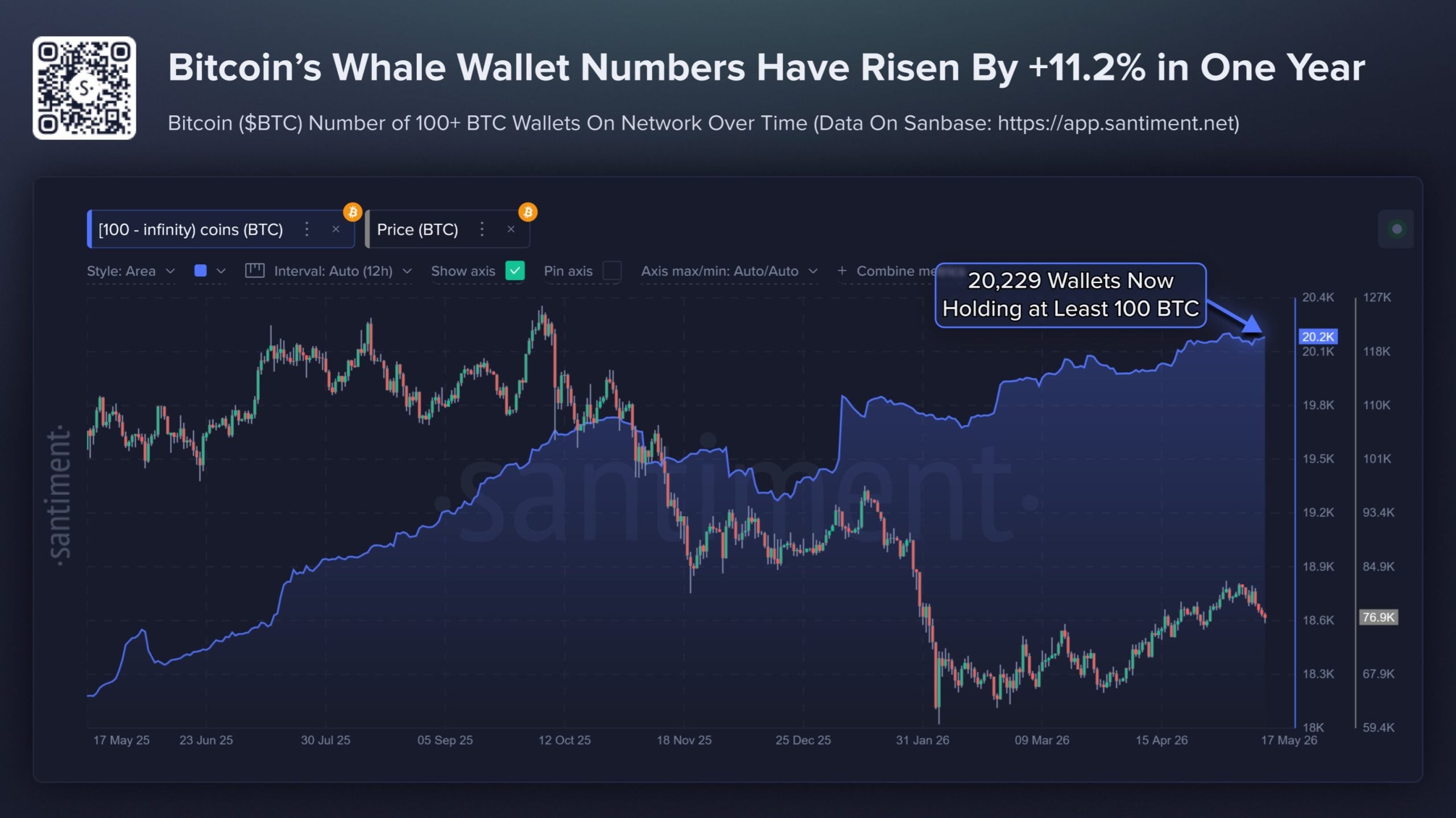 bitcoin btc whale wallets